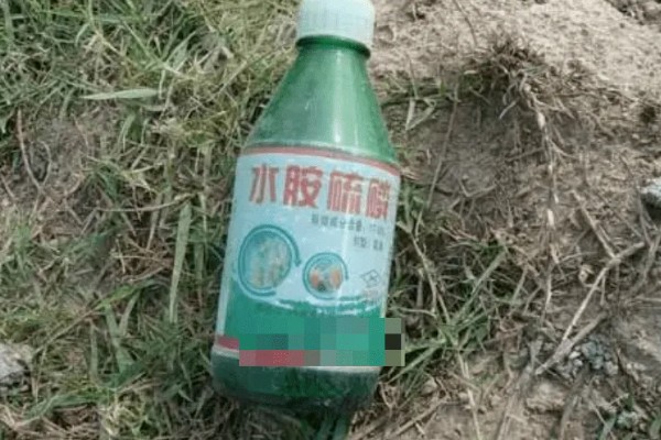 水胺硫磷是什么农药，属于有机磷类杀虫剂、杀螨剂