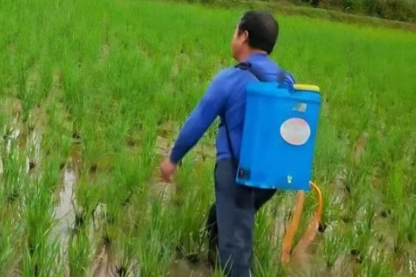 水胺硫磷是什么农药，属于有机磷类杀虫剂、杀螨剂