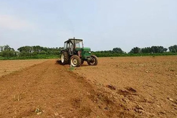 墨旱莲怎么种植,播种深度为3厘米左右