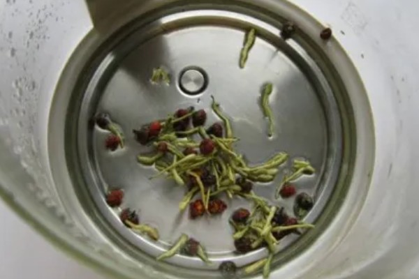 四季金银花的种植技术，早春时期种植为佳