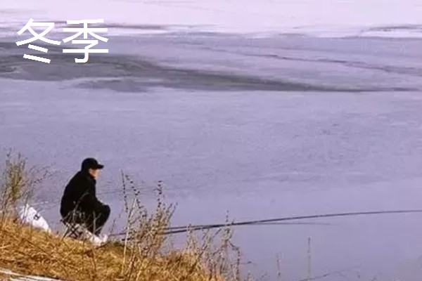 用红虫钓鲫鱼的适宜季节,早春、深秋、冬季都可以使用