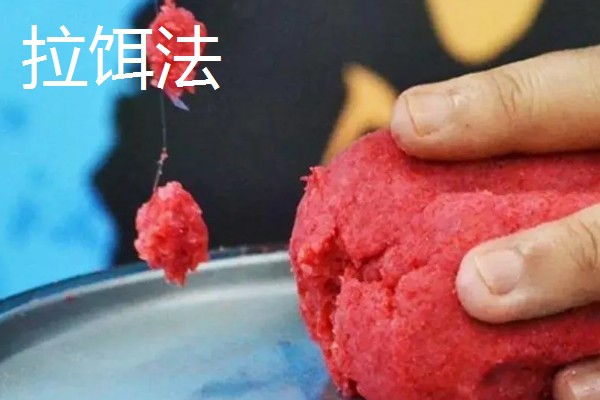 用红虫钓鲫鱼的适宜季节,早春、深秋、冬季都可以使用