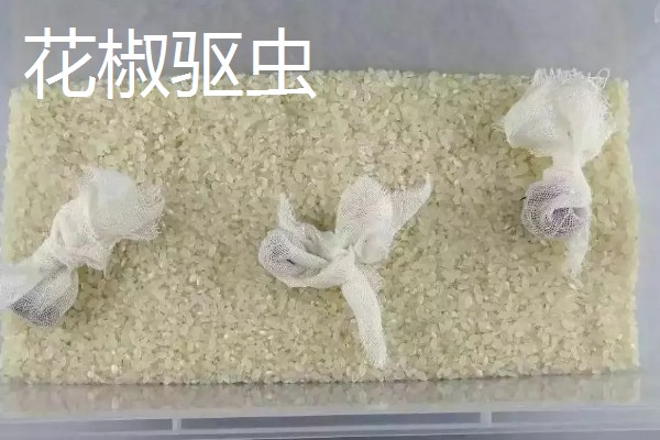 嫩江湾大米产地在哪,在吉林省嫩江西岸的镇赉县