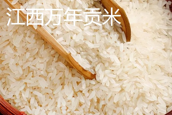 嫩江湾大米产地在哪,在吉林省嫩江西岸的镇赉县