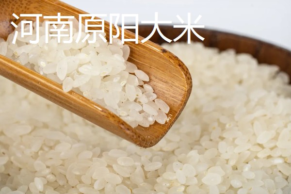 嫩江湾大米产地在哪,在吉林省嫩江西岸的镇赉县