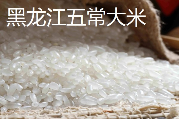 嫩江湾大米产地在哪,在吉林省嫩江西岸的镇赉县