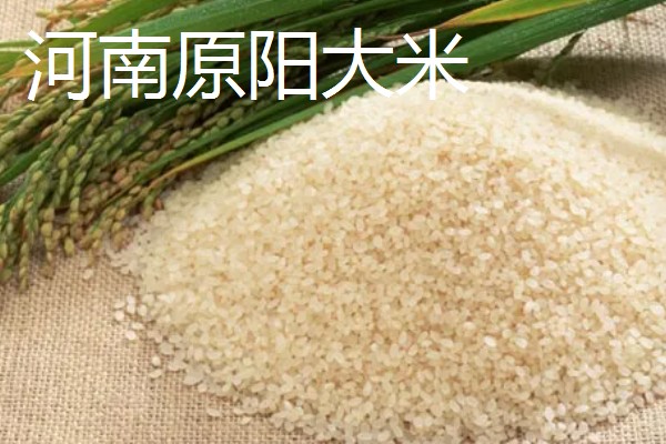 嫩江湾大米产地在哪,在吉林省嫩江西岸的镇赉县