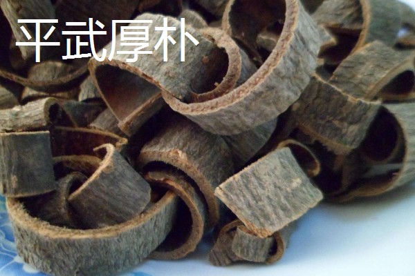 四川平武县的特产，平武厚朴享有盛名