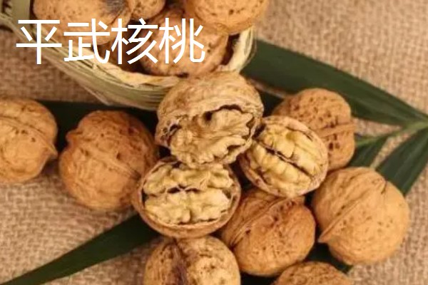 四川平武县的特产，平武厚朴享有盛名