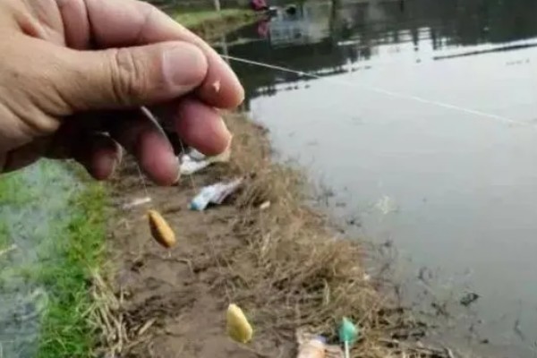 海竿能钓鲢鳙吗，海竿可以用来钓鲢鳙