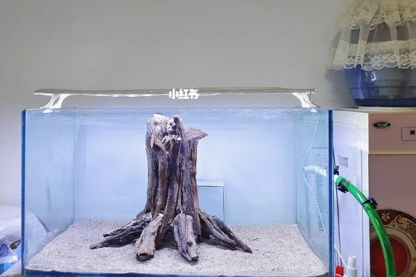 鱼缸PH值怎么调节,可以加入一些榄仁叶、沉木等