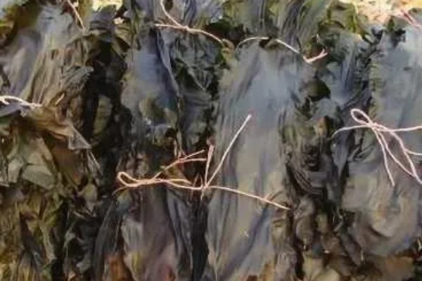 海带市场的价格，通常在3-10元一斤