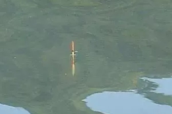 怎么钓太阳鱼，首选水草区、洄湾等地方垂钓