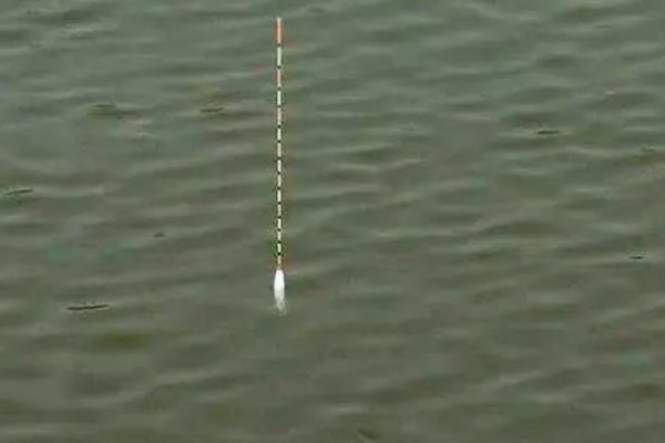 怎么钓太阳鱼，首选水草区、洄湾等地方垂钓