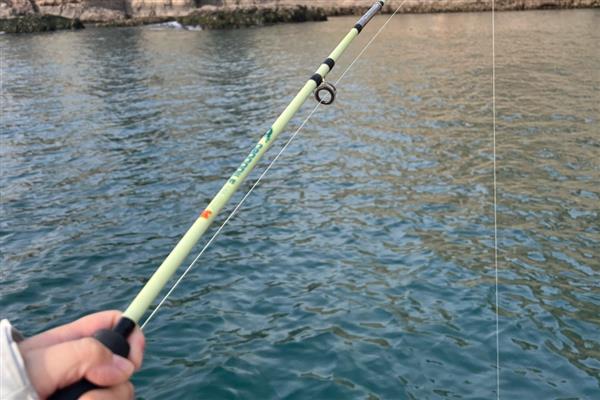 海钓选择什么竿，海竿、矶钓竿都可以使用