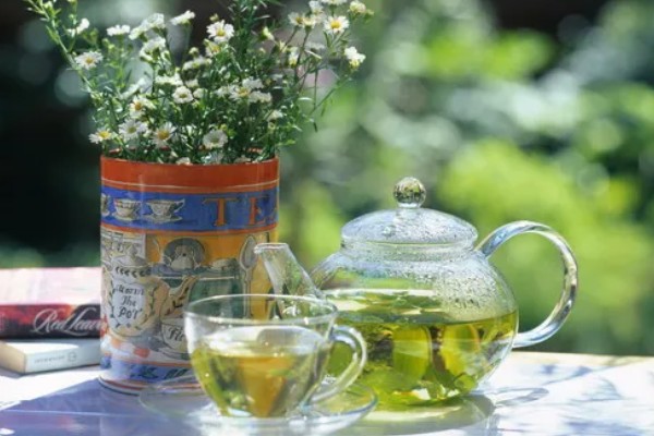 茶水能不能浇花，经过发酵后才能使用