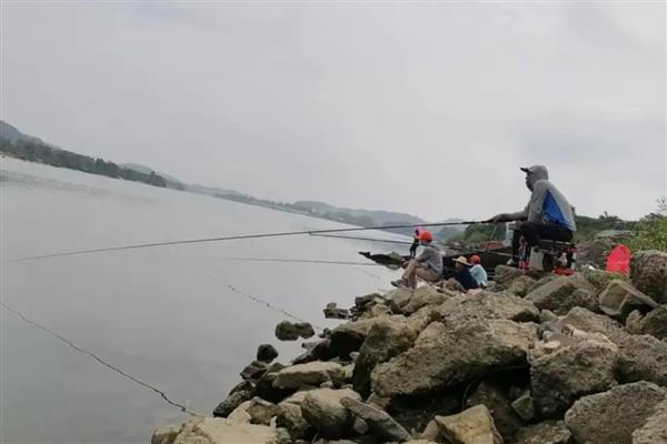 海竿与路亚的区别,外形、重量、调性等方面都不同